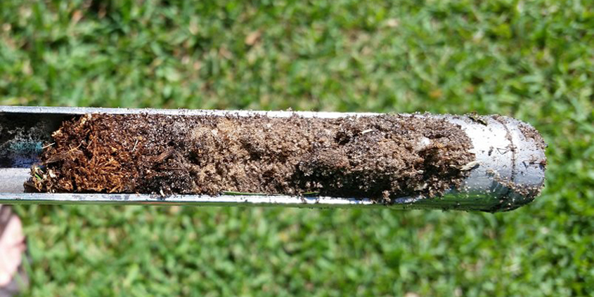 Use a soil probe to test how well irrigation dispenses into your landscape. Photo: Courtesy University of Florida/Creative Commons use soil probe