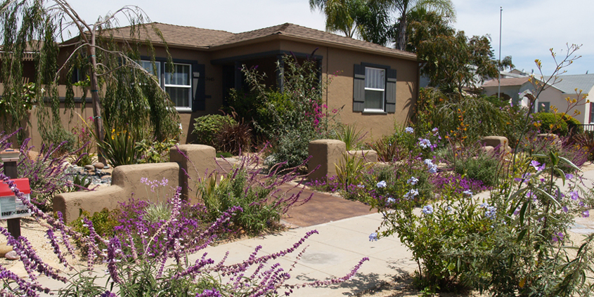 When you compare how much water an efficient landscape design needs compared to your existing landscape, you can estimate your water savings. Landscape water savings