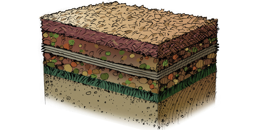 Create a healthy growing environment for your new landscaping with the "soil lasagna" method. Graphic: Water Authority