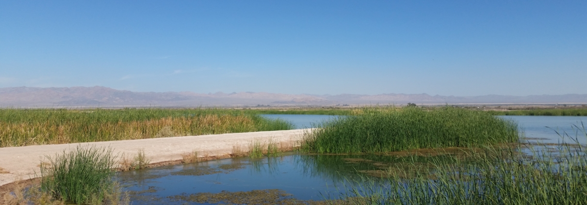 Salton Sea Management Program projects are moving ahead with new state funding. Photo: Water Authority