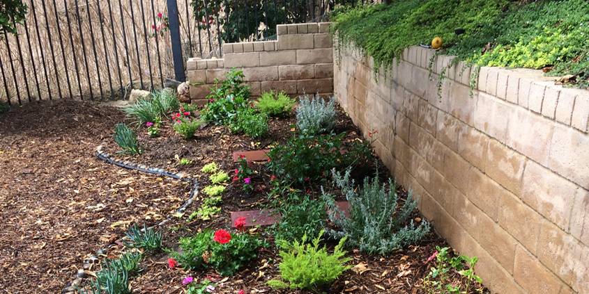 Match your plant choices to the different microclimate areas in your landscaping. A microclimate map helps you make good choices. Photo: Water Authority