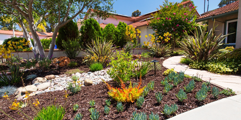 Homeowners learn through the Water Authority's Landscape Transformation program that sustainable landscaping can be as lush as a lawn. Photo Water Authority turf