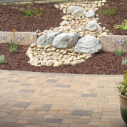 Give new landscaping plants plenty of room to grow and thrive. Photo: Water Authority