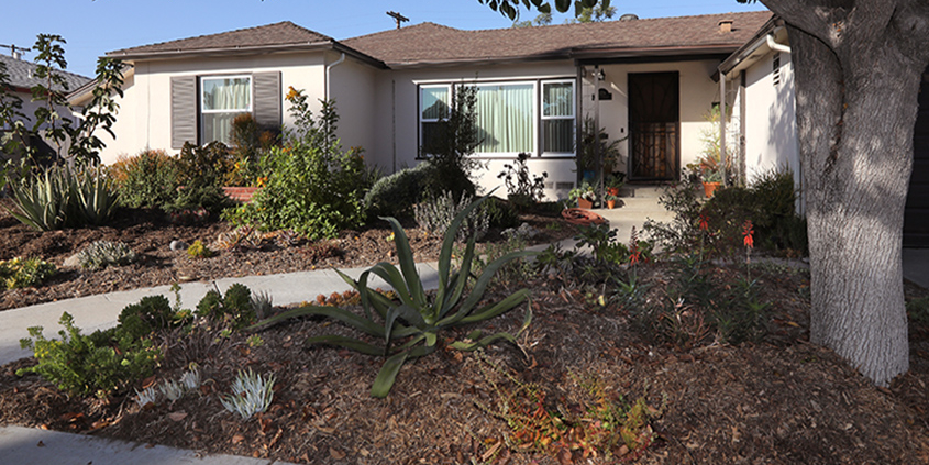 There are new enhanced rebates for removing turf and replacing it with sustainable landscaping. Photo: Water Authority