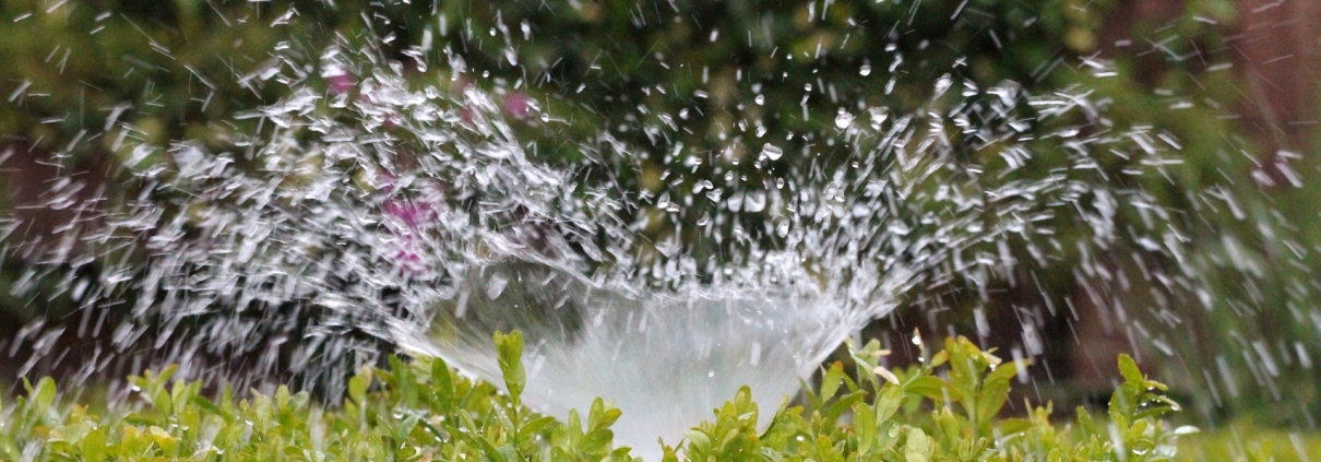 Well designed and operated irrigation systems can reliably deliver the water your landscaping needs without waste or excess. Photo: AxxLC/Pixabay