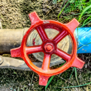 An irrigation map that clearly shows the layout of your irrigation system can be very helpful when you need to locate components for repair. Photo: Markus Distelrath/Pixabay