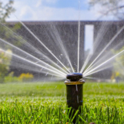 Inspect your sprinkler heads regularly to make sure they are not obstructed or watering onto pavement or other hardscapes. Photo: Irrigation Association