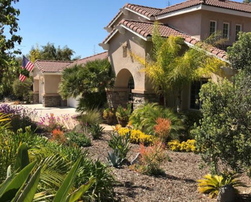 Colorful, waterwise plants replaced a thirsty, labor intensive front lawn in Deborah Brant's winning landscape makeover. Photo: Vista Irrigation District