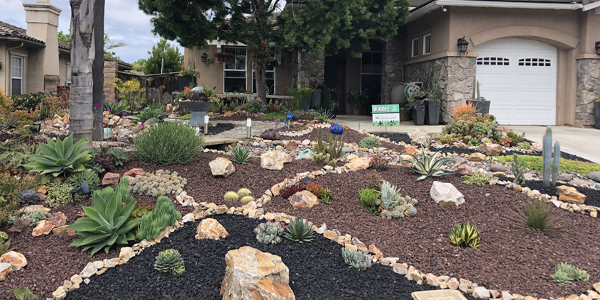 Planning for the amount of space your new plants will need when fully grown will help your landscape thrive. Photo: Sweetwater Authority