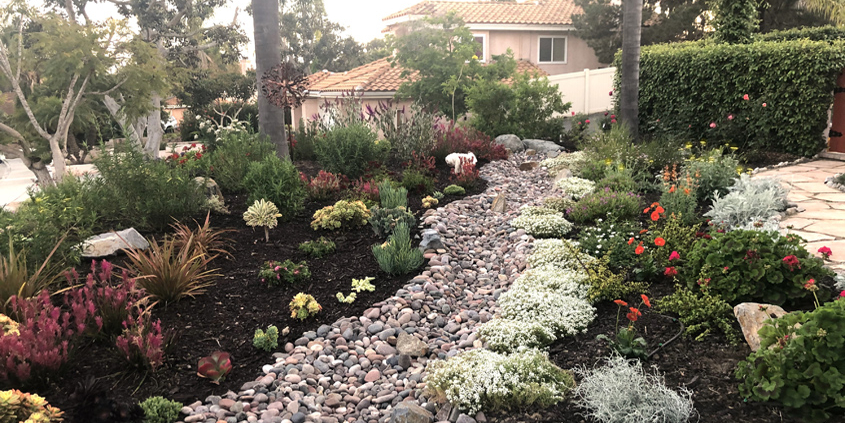 The Zeigler family of Vista replaced a labor intensive lawn with a beautiful pollinator friendly landscape to win the 2020 VID Landscape Makeover Contest. Photo: Vista Irrigation District