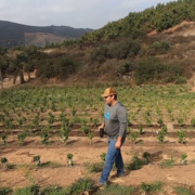 San Marcos coffee farmer Kyle Rosa walks through his 2.5 acre property. Photo: Vallecitos Water District