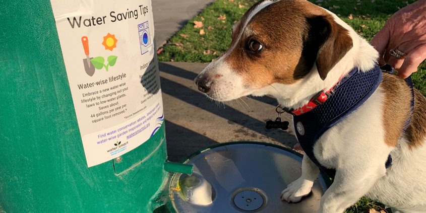Farley visits one of the new hydration stations in San Marcos. Photo: Vallecitos Water District Wags and Water