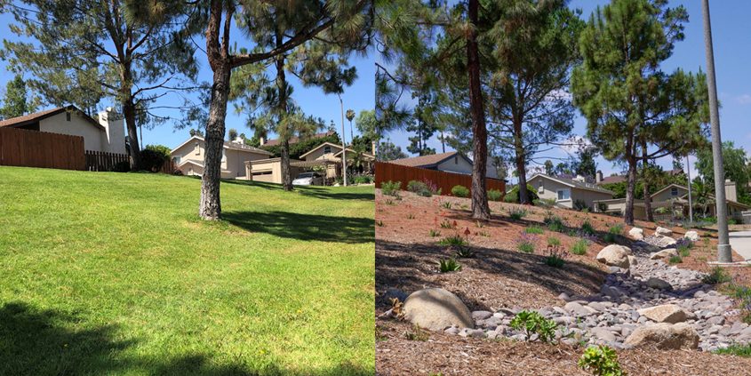 Water Conservation-A side by side look at before and after photos of the Rancho San Diego Association landscape renovation, completed with assistance from the County's Landscape Optimization Service. Photos: Courtesy Rancho San Diego HOA