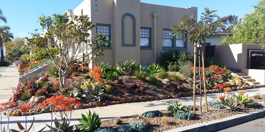 WaterSmart landscapes are attractive and in balance with the regional environment and climate - and beautiful, too. Photo: San Diego County Water Authority step-by-step process