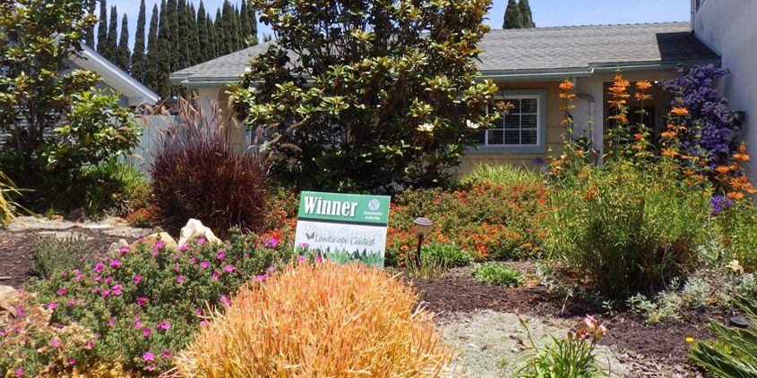 The Cavanah family's colorful, watersmart landscape is the winner of the 2022 Sweetwater Authority Landscape Makeover contest. Photo: Sweetwater Authority less water