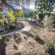 The Panorama HOA in Lake San Marcos achieved beautiful results from its landscaping makeover project, which will conserve water and preserve the region's watershed. Photo: Vallecitos Water DistrictHOA landscape makeover