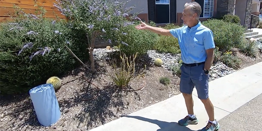 Dean Williams replace his grass with colorful drought tolerant plants. His landscape makeover won first place. Photo: Vallecitos Water District 2023